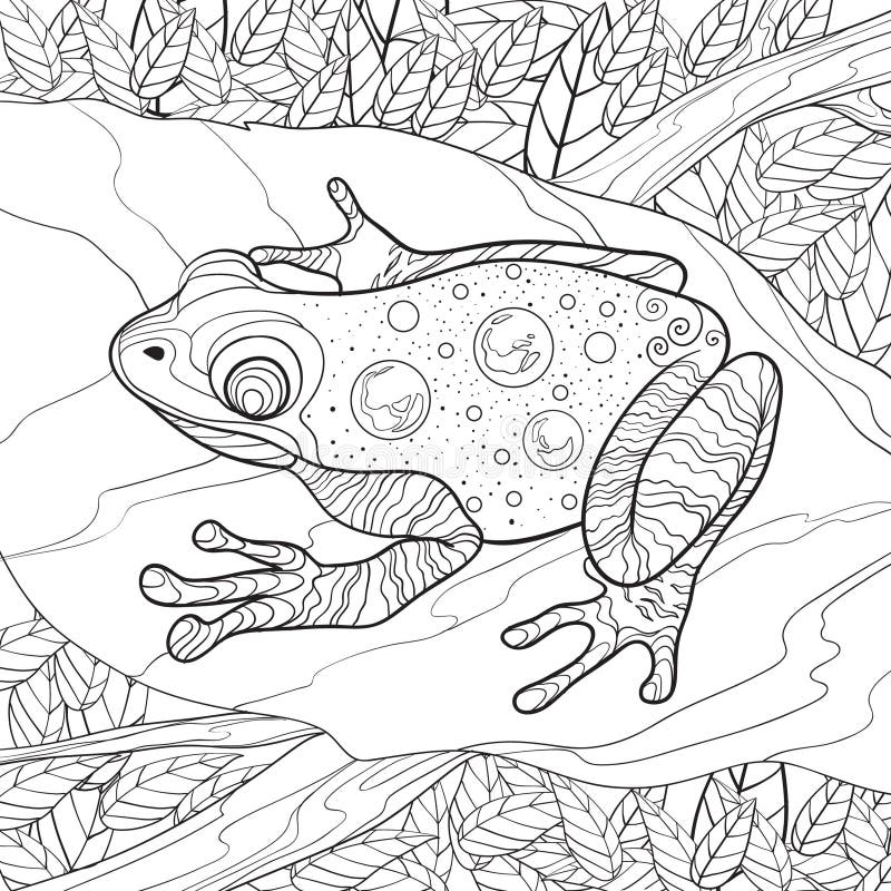 Amphibians coloring stock illustrations â amphibians coloring stock illustrations vectors clipart