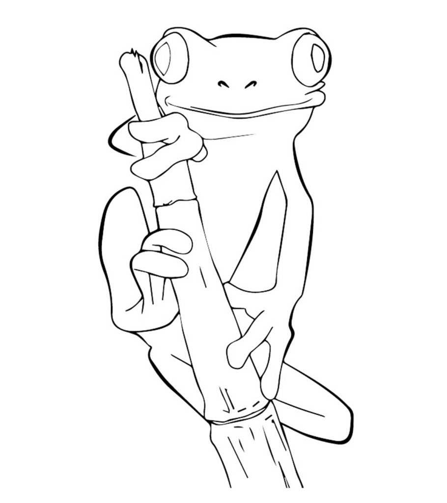 Delightful frog coloring pages for your little ones