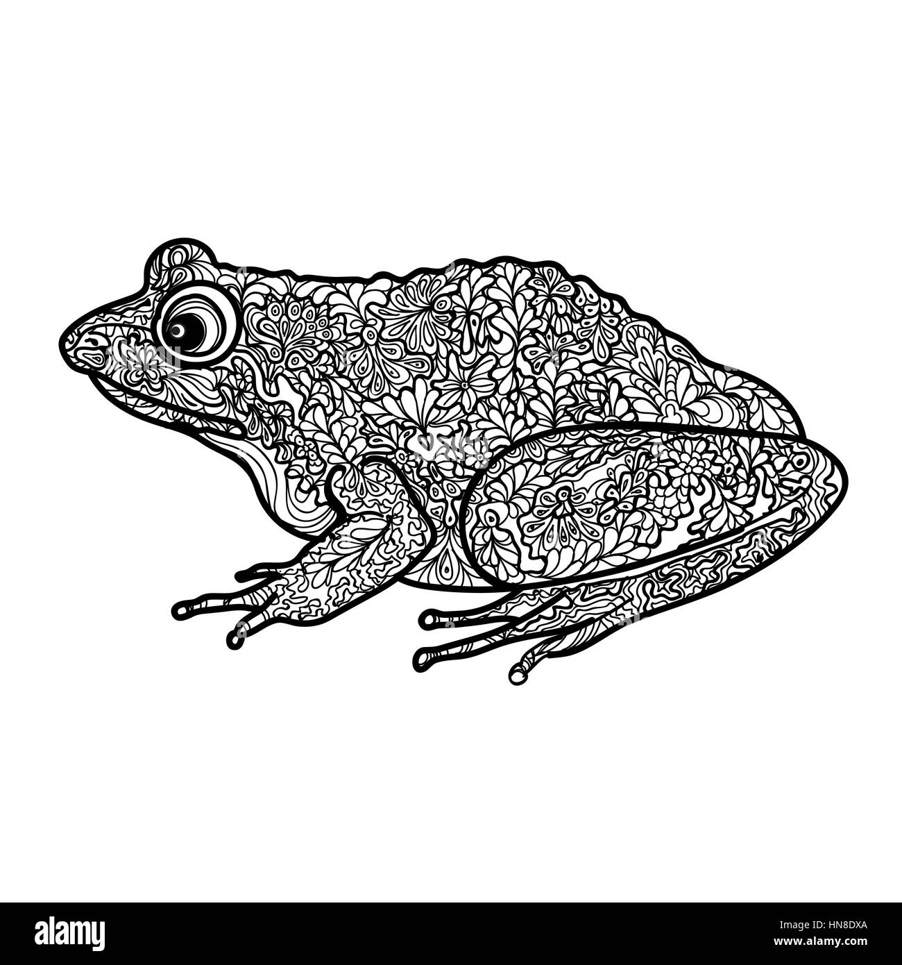 Frog sketch black and white stock photos images