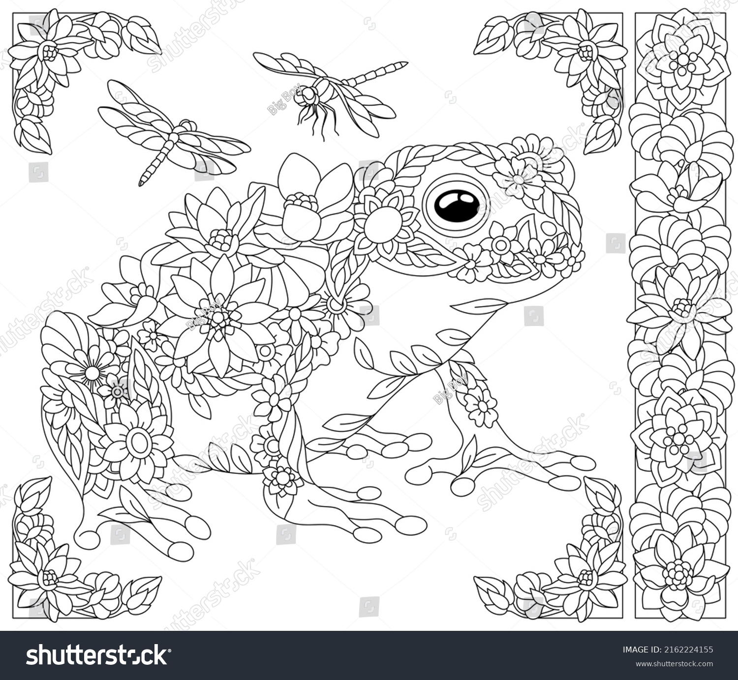 Frog border stock photos