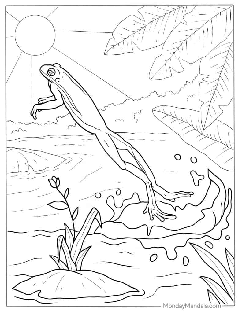 Frog coloring pages free pdf printables