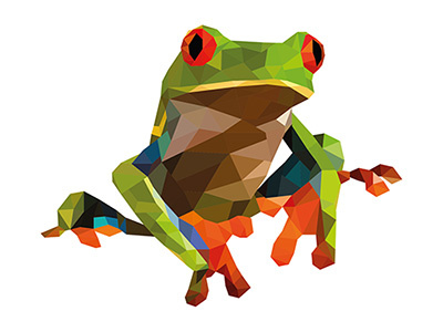 Low poly vector frog by hannah chalmers on