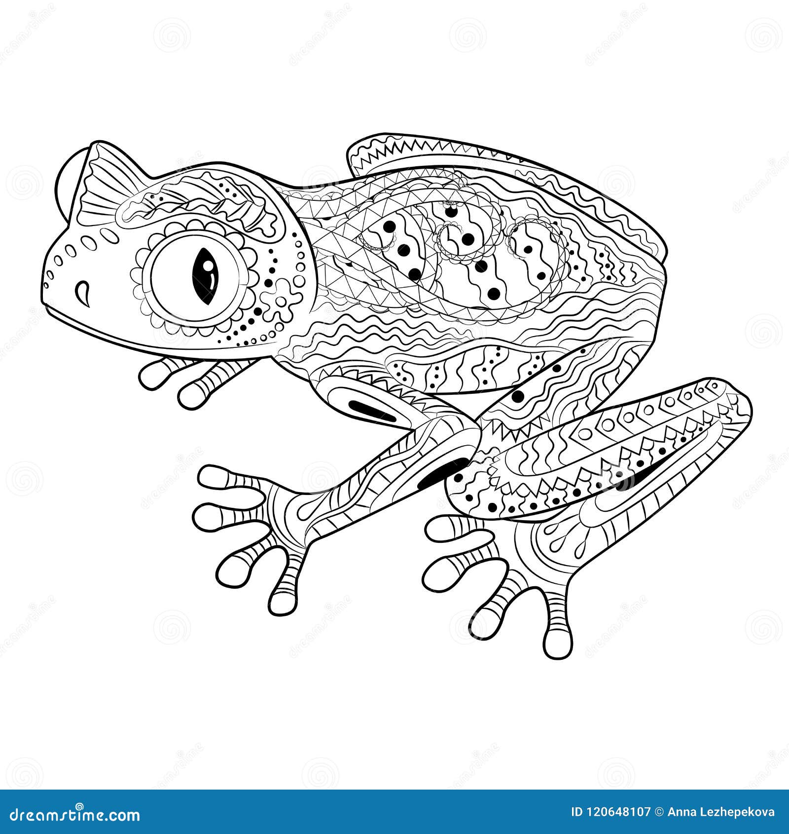 Amphibians coloring stock illustrations â amphibians coloring stock illustrations vectors clipart
