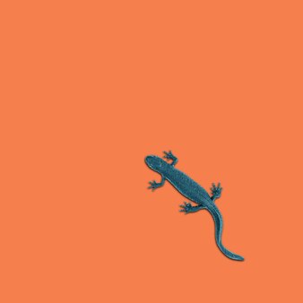 Page frog low poly pictures