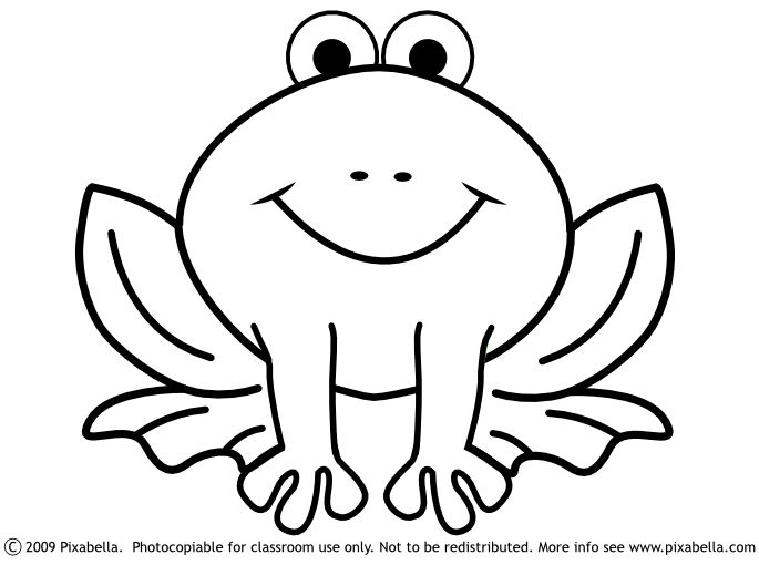 Realistic frog coloring pages clipart panda