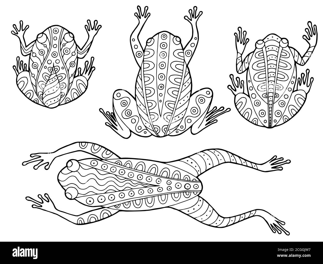 Frog sketch black and white stock photos images