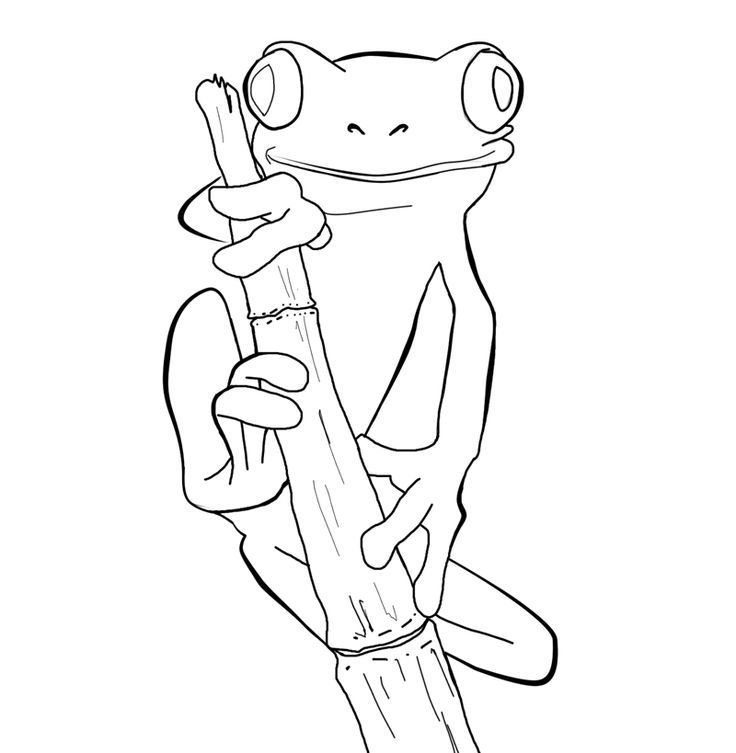 Frog coloring pages frog drawing coloring pages