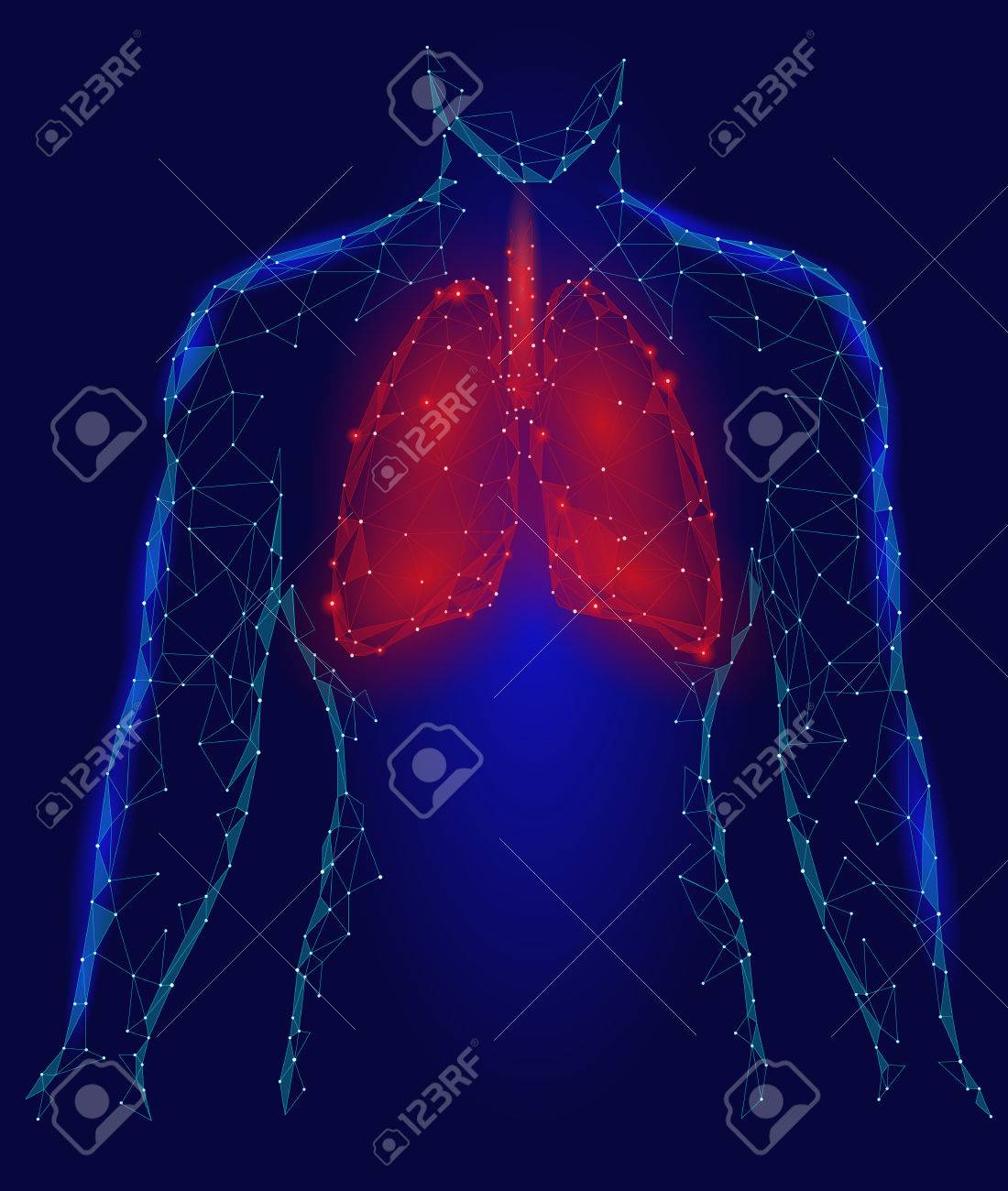 Human lungs pulmonary infection internal organ respiratory system inside body silhouette low poly d connected dots triangle polygonal design red blue color background vector illustration stock photo picture and royalty free image