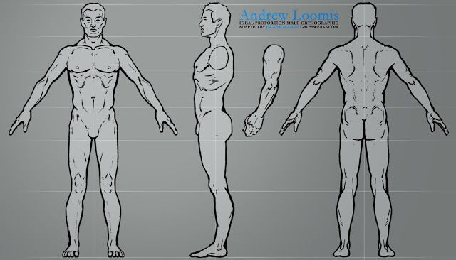 Ryans puter arts practice low poly modelling anatomy reference character model sheet human reference