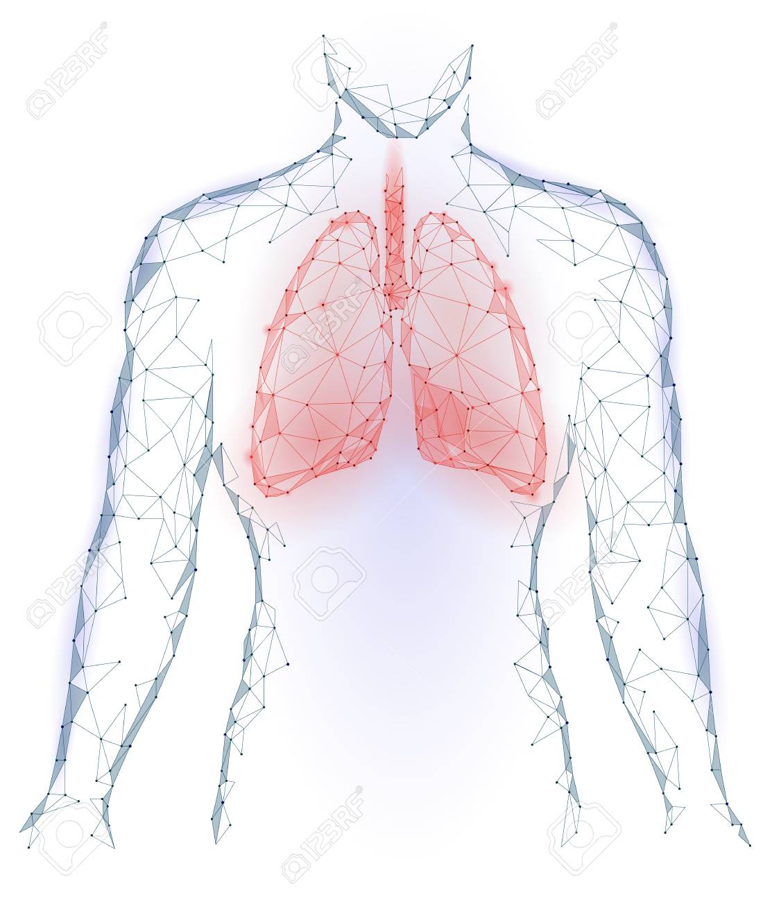 Human lungs pulmonary infection internal organ respiratory system inside body silhouette low poly d connected dots triangle polygonal design red blue color background vector illustration stock photo picture and royalty free image