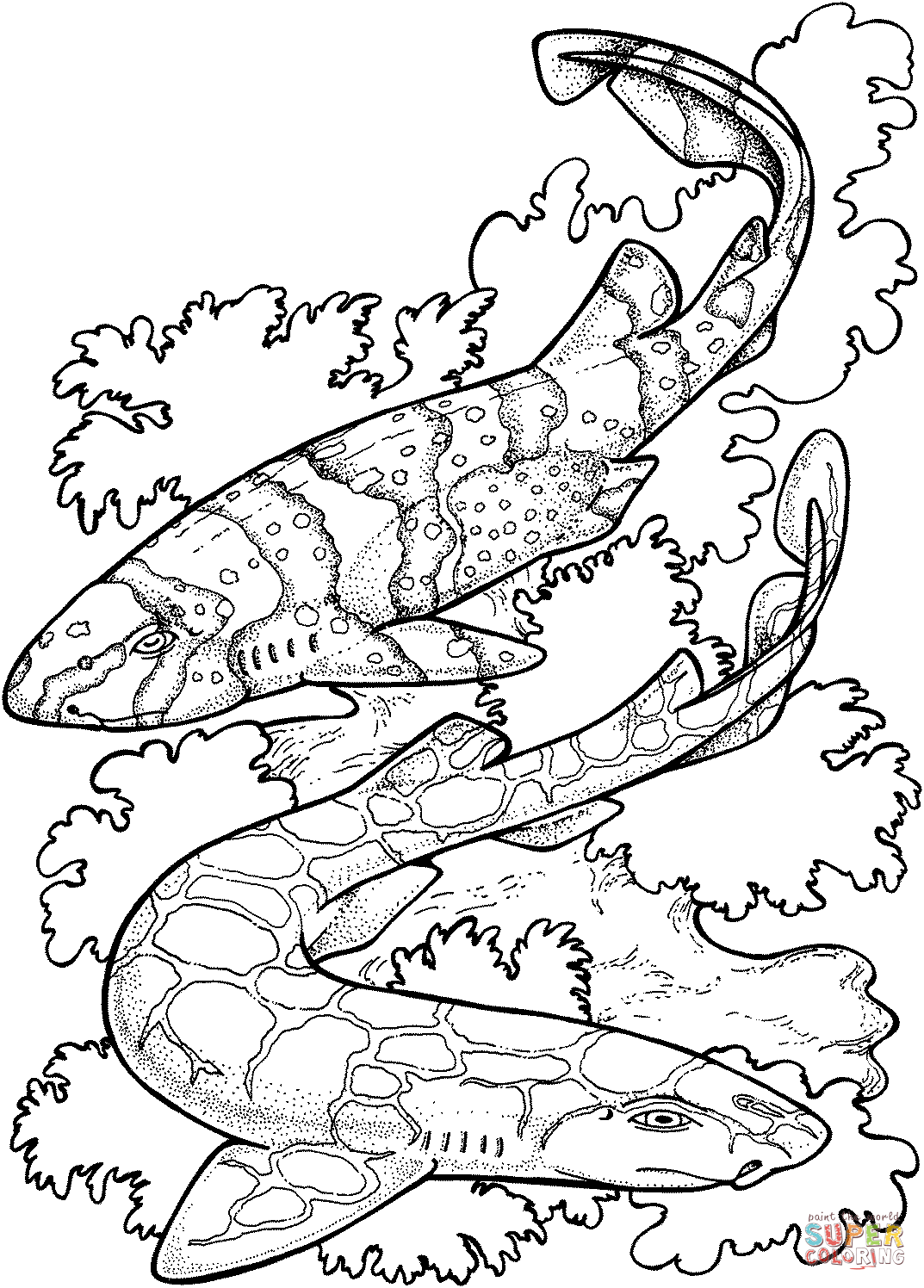 Zebra sharks coloring page free printable coloring pages