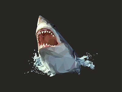 Low poly shark by aiden guinnip on