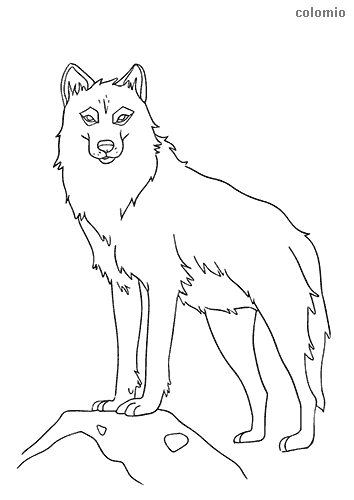 Wolves coloring pages free printable wolf coloring sheets