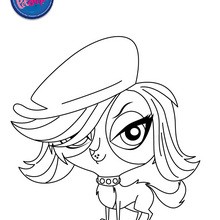 Littlest pet shop coloring pages