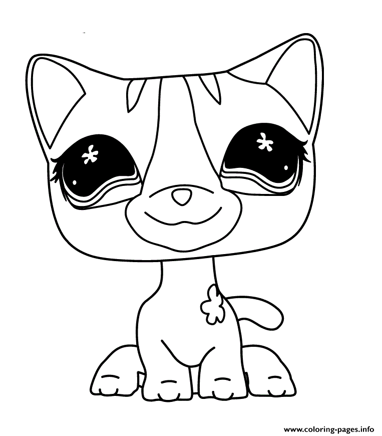 Littlest pet shop cat coloring page printable