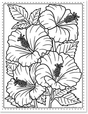 Coloring pages of flowers for kids and adults free printable