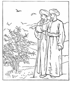 The unfruitful fig tree luke