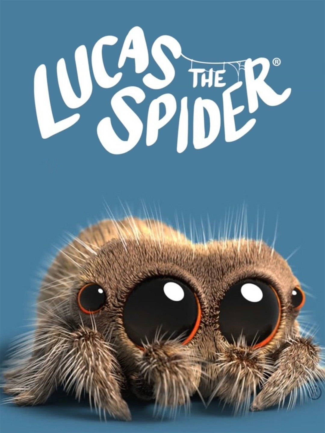 Lucas the spider