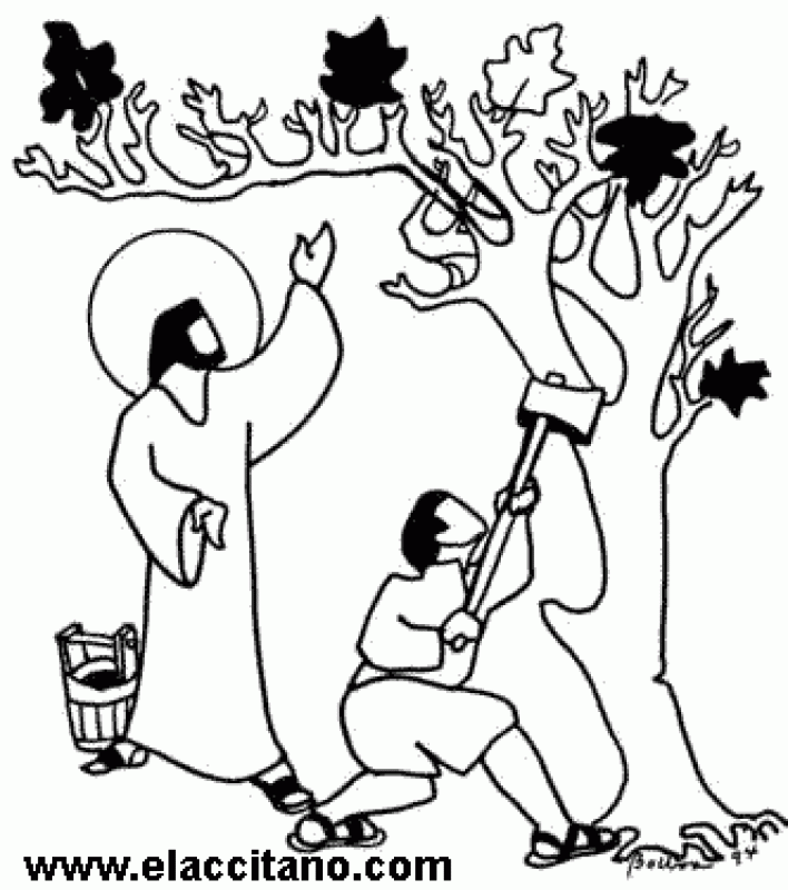 Luke fig tree coloring pages