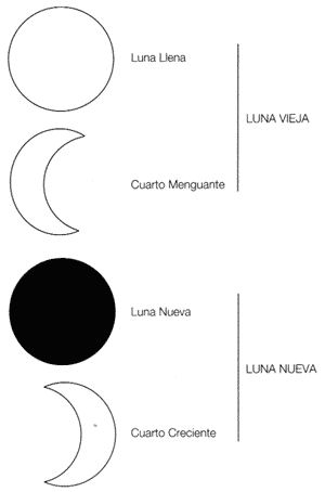 Estudio preliminar sobre la posible relaciãn de la producciãn de toros sementales con los ciclos de la luna con especial referencia a la agricultura biodinãmica