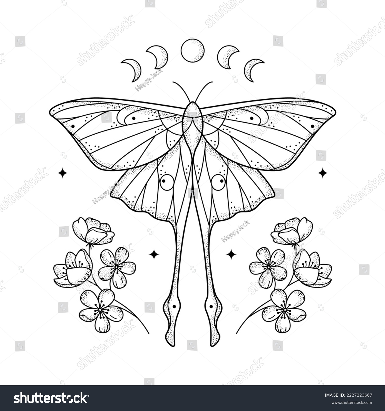 Geometric luna moth tattoo stock photos and pictures