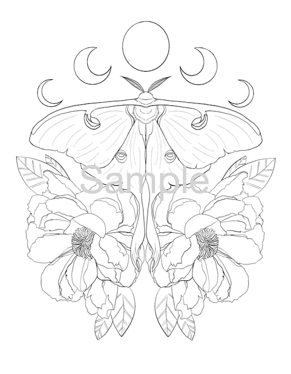 Luna moth and peonies coloring page download now