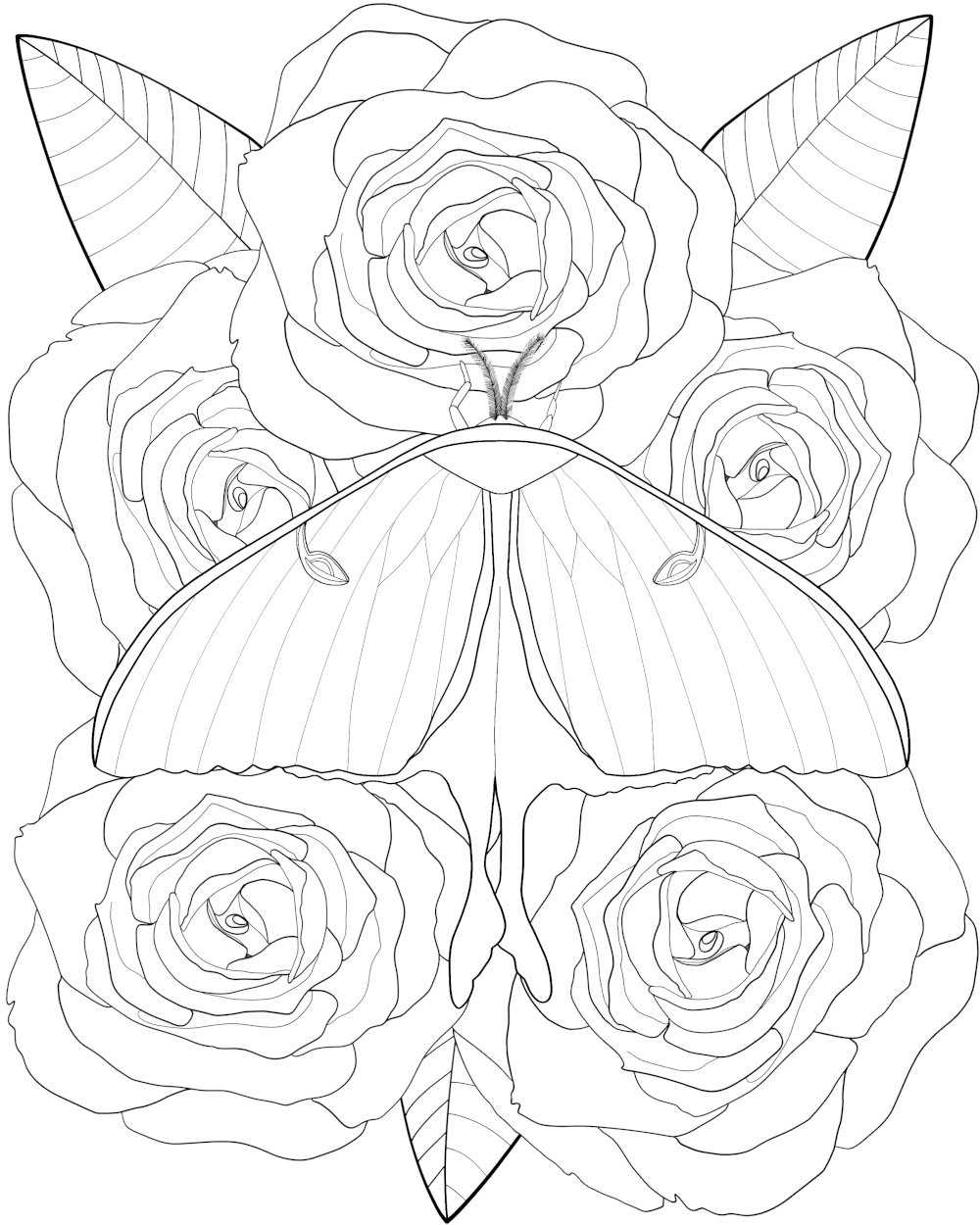 Luna moth with roses bonus practice page free coloring sheets