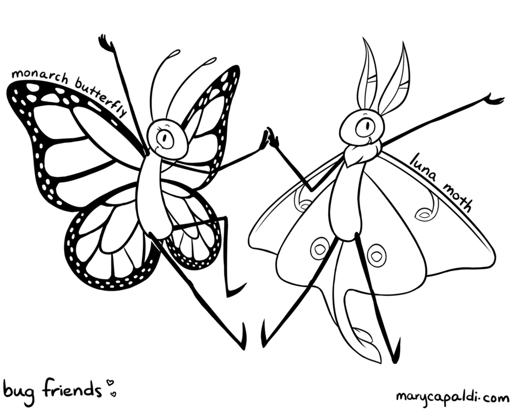 Monarch butterfly luna moth coloring page