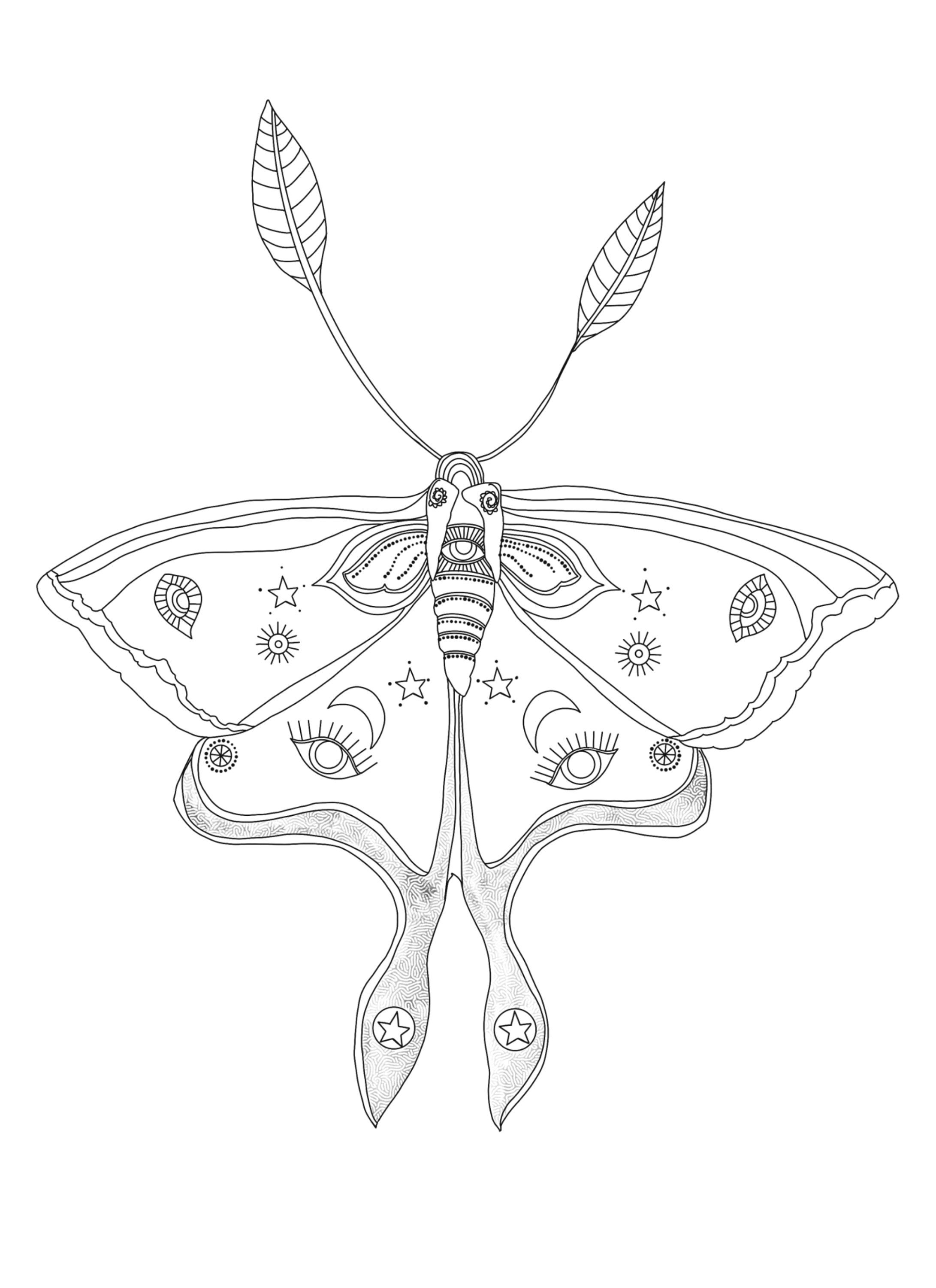 Mystical luna moth pdf printable coloring page