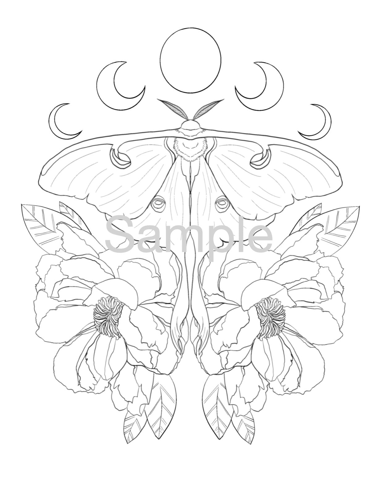 Luna moth and peonies coloring page