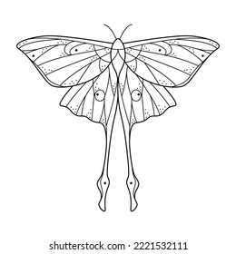 Sacred line art geometric luna moth stock vector royalty free