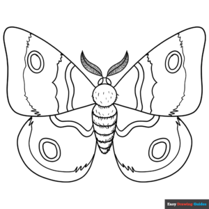 Moth coloring page easy drawing guides