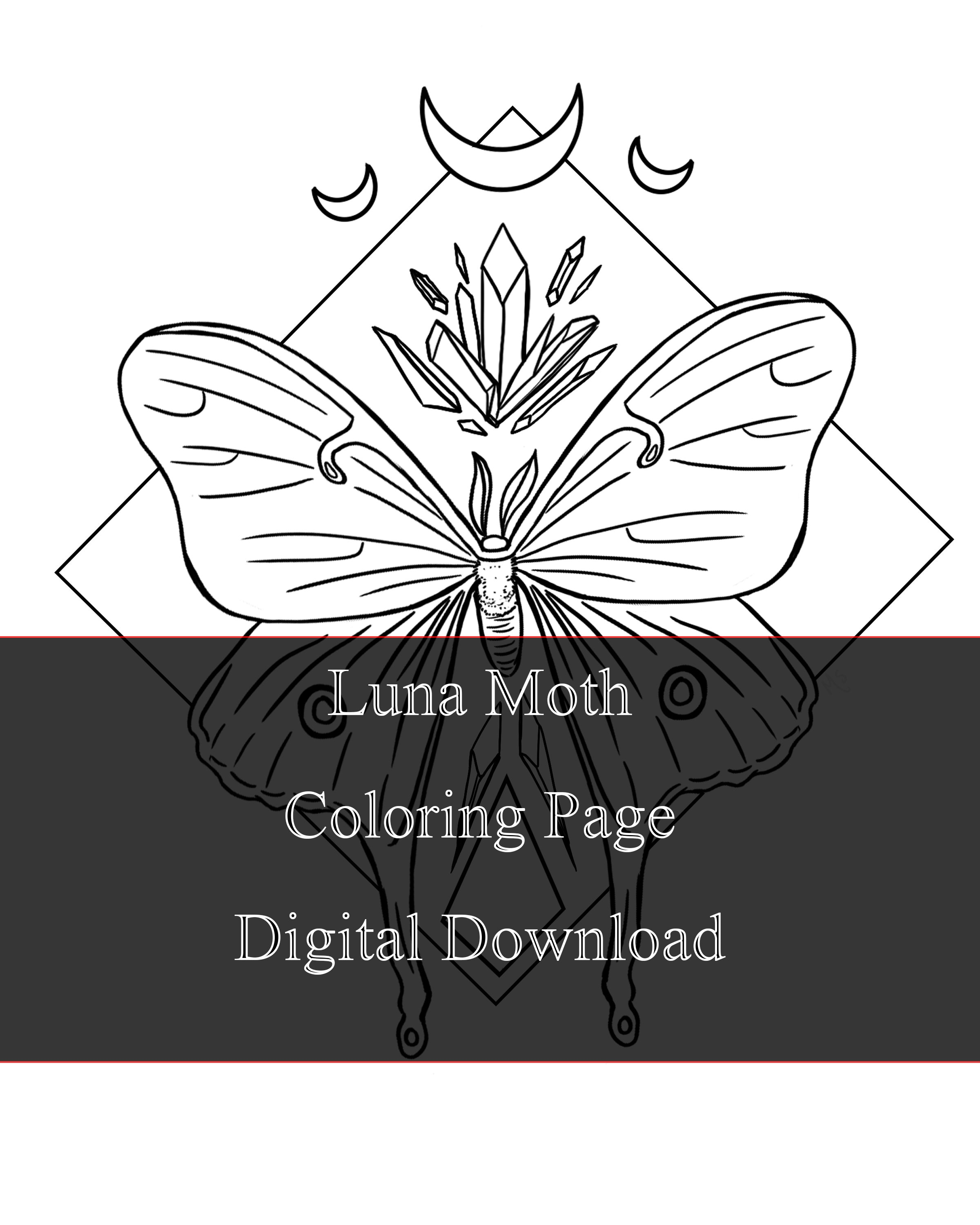 Luna moth adult coloring page print at home digital download witchy themed diy coloring sheet