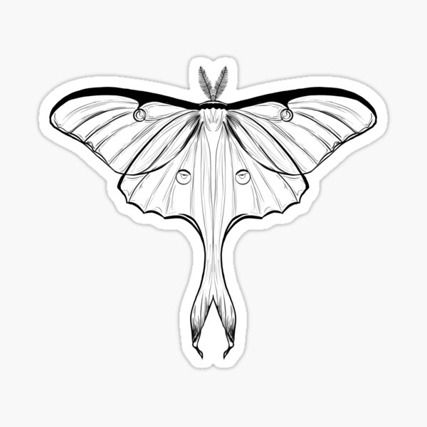 Luna moth drawing sticker for sale by annecatriona