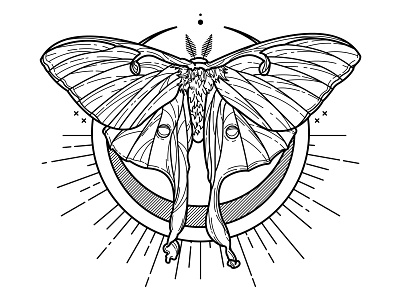 Luna moth designs themes templates and downloadable graphic elements on