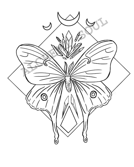 Luna moth adult coloring page print at home digital download witchy themed diy coloring sheet