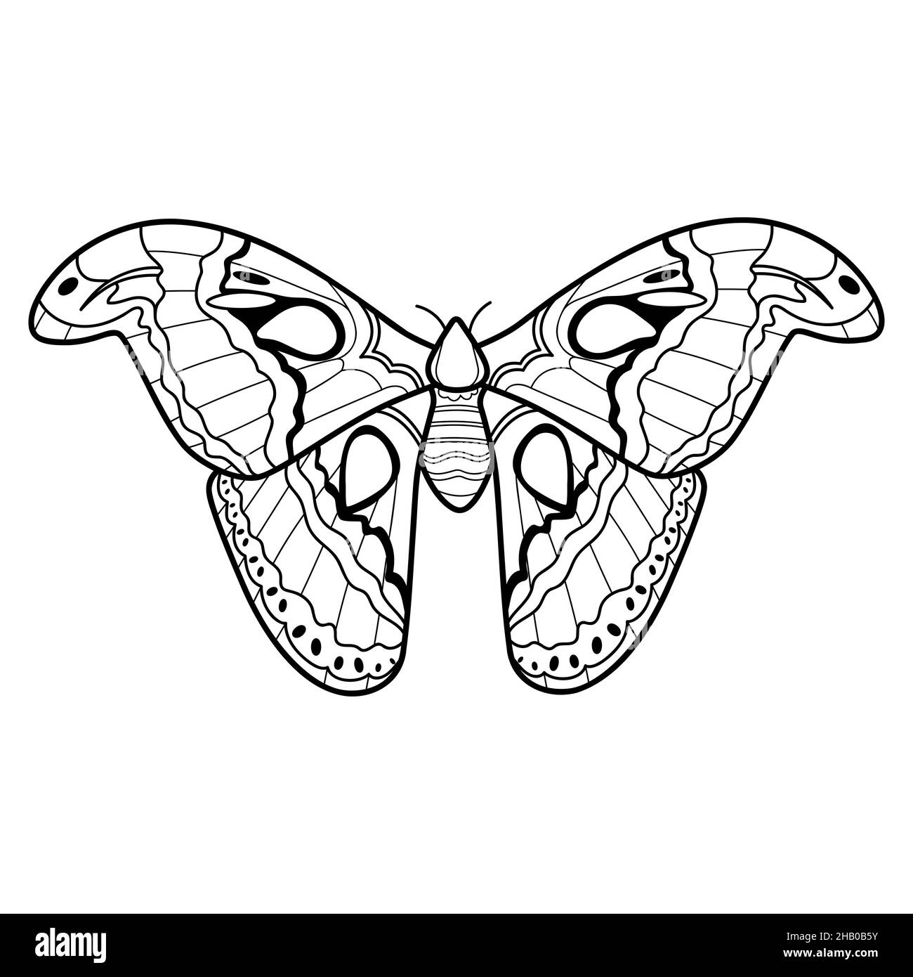 Butterfly coloring pages hi