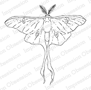 Impression obsession luna moth small