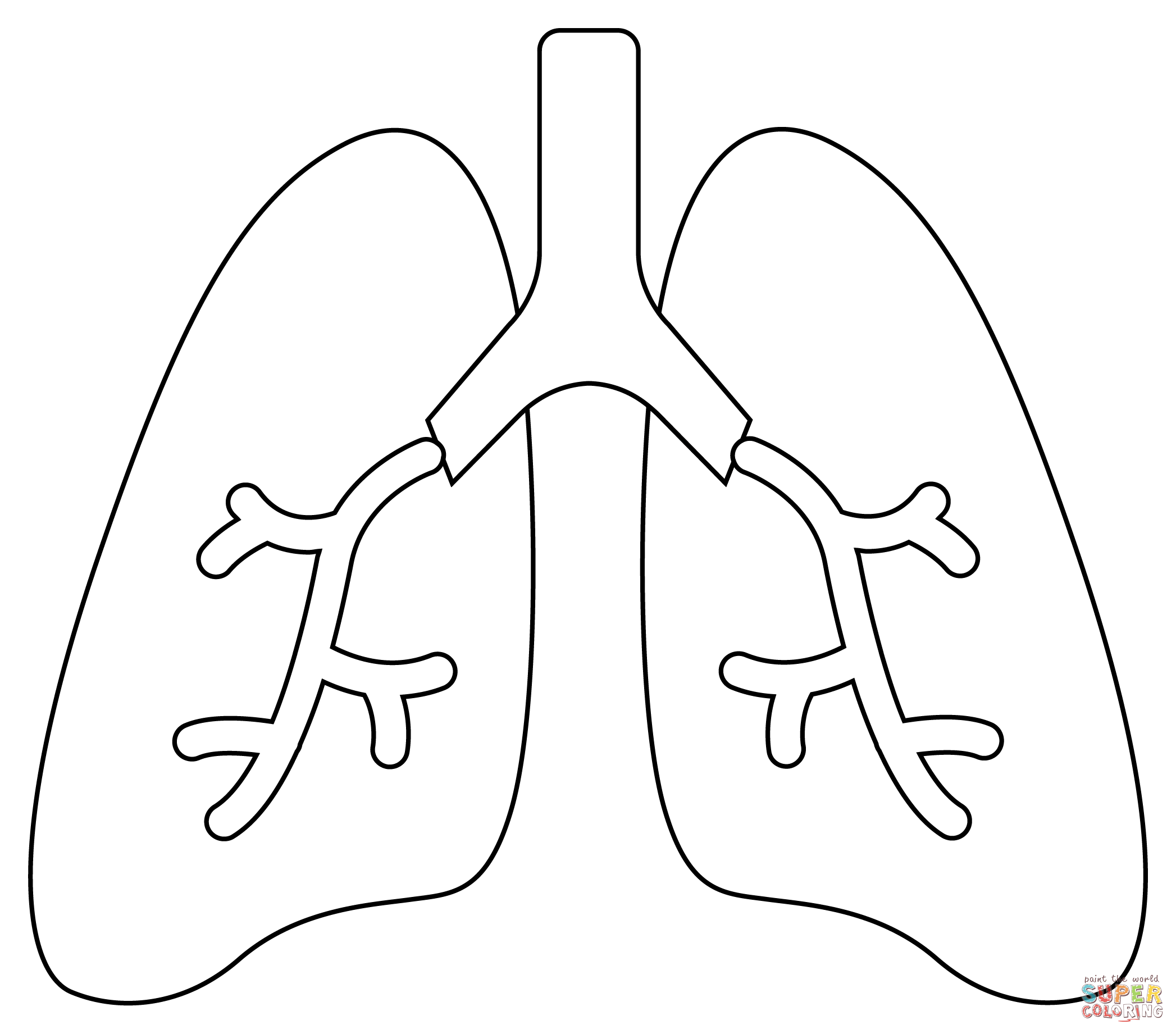 Lungs coloring page free printable coloring pages