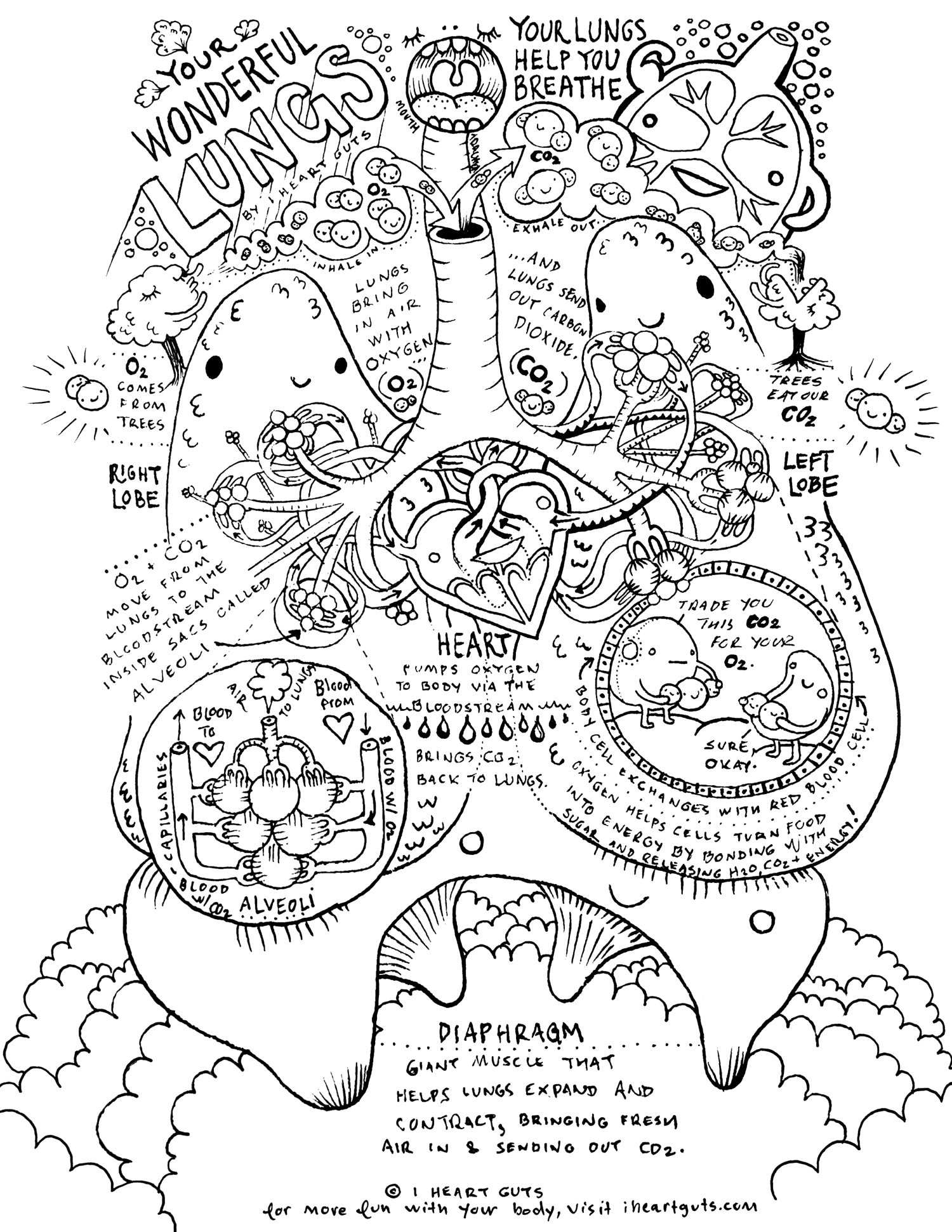 Respiratory system coloring page i heart guts