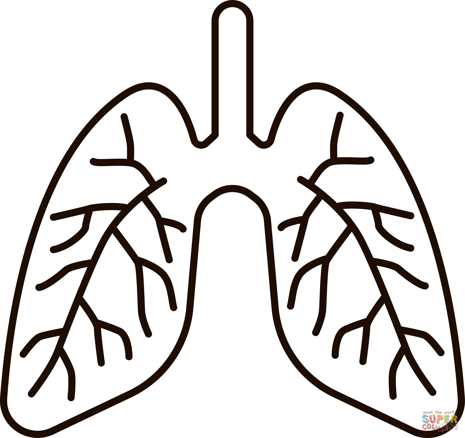 Lungs coloring page free printable coloring pages