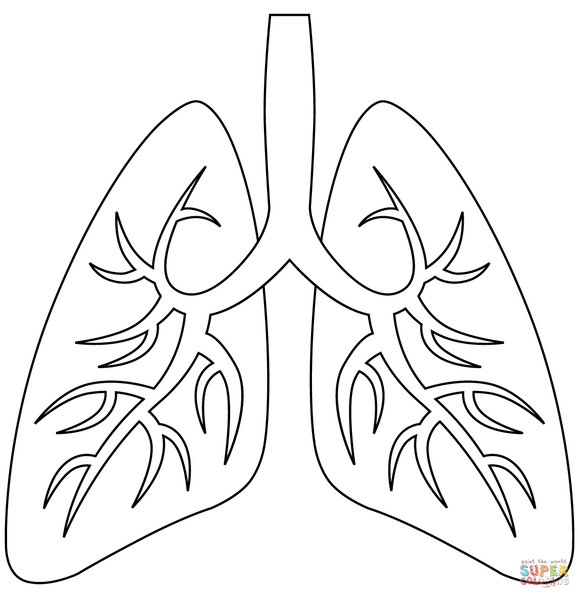 Lungs coloring page free printable coloring pages lungs drawing free printable coloring pages lunges