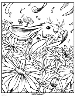 Plants trees flowers free coloring pages