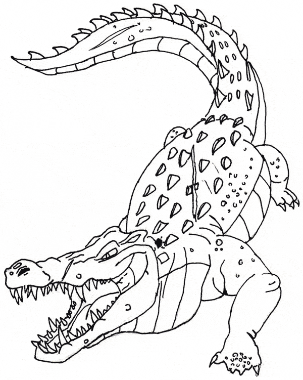 Crocodile coloring page