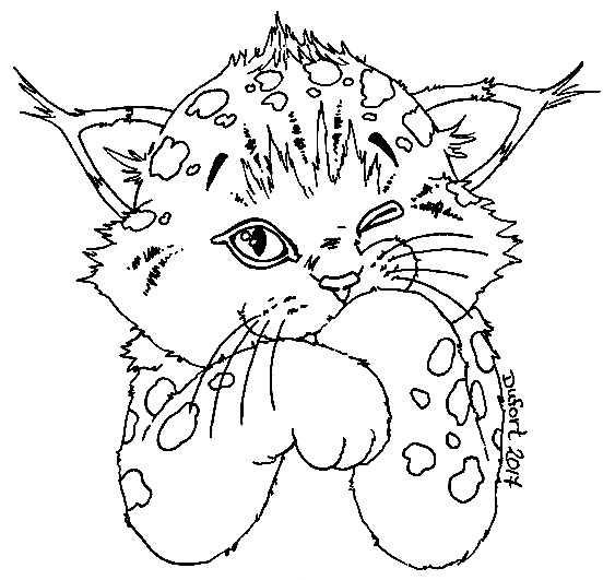 Lynx coloring pages printable for free download