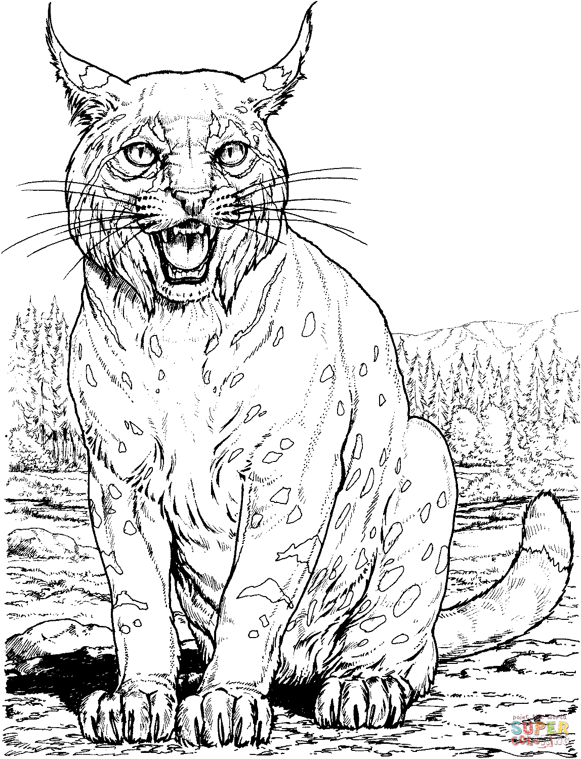 Lynx cat coloring page free printable coloring pages