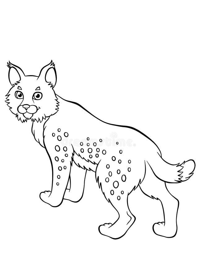 Coloring pages animals little cute lynx stock vector