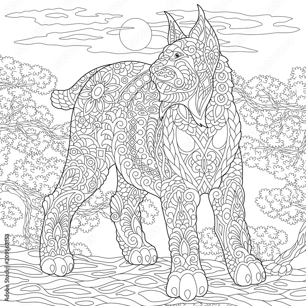 Wildcat lynx bobcat coloring page colouring picture adult coloring book idea vector