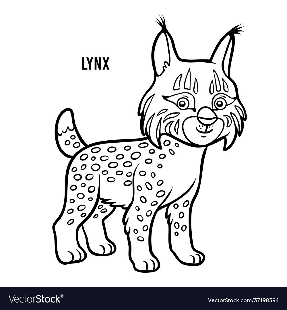 Coloring book lynx royalty free vector image