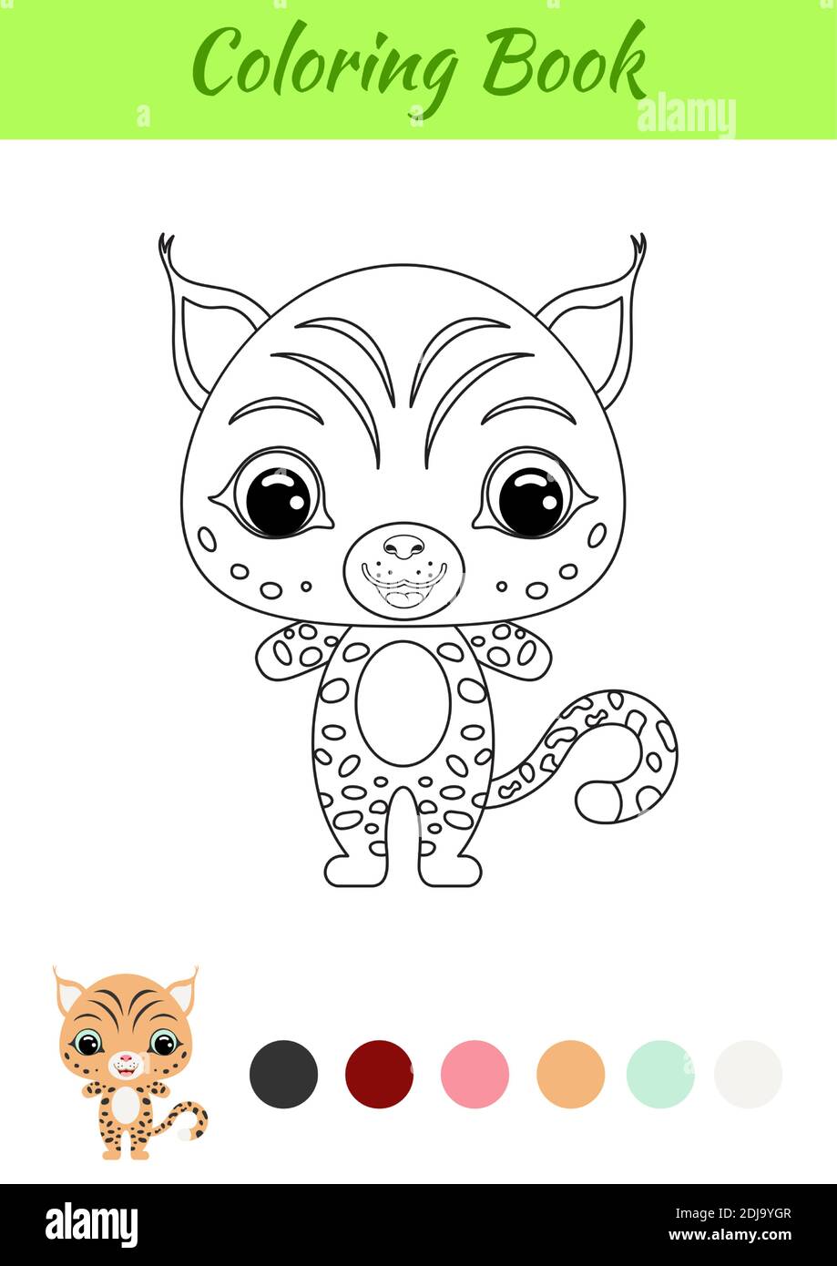 Coloring book little baby lynx coloring page for kids educational activity for preschool years kids and toddlers with cute animal stock vector image art